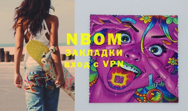 шишки Медвежьегорск