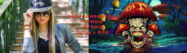 шишки Медвежьегорск